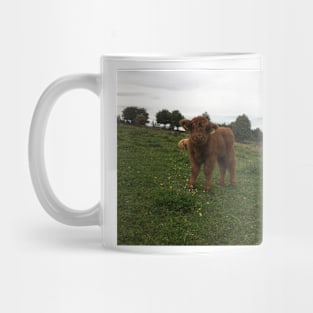 Scottish Highland Cattle Calf 1818 Mug